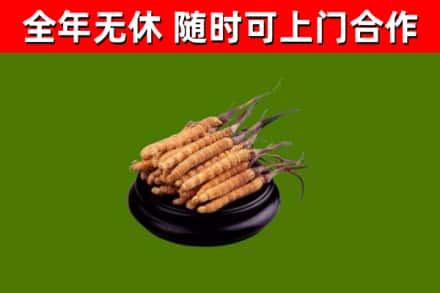 石阡县烟酒回收冬虫夏草.jpg